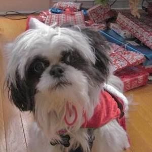 Meet your Posher, Bocce ball